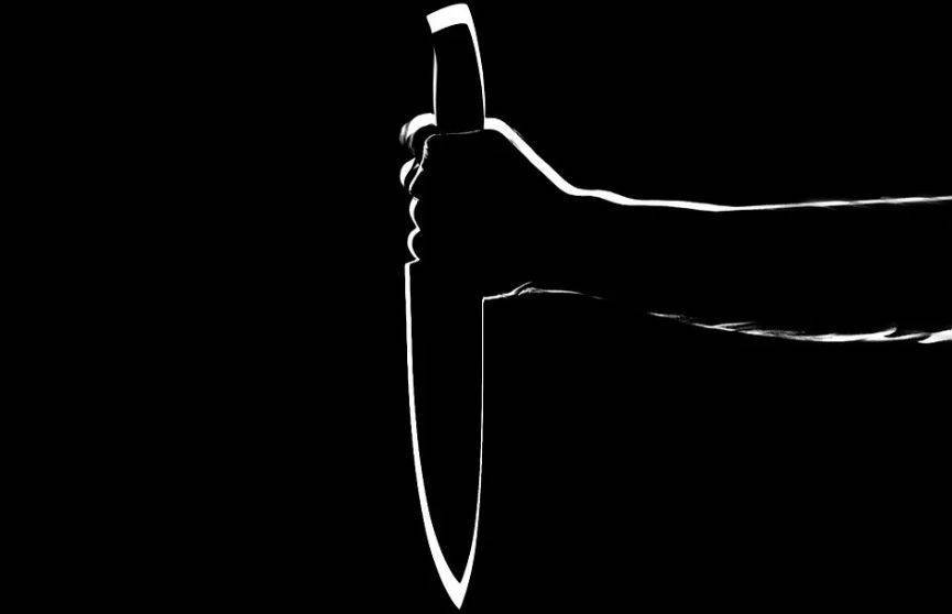 Минчанин ножом убил племянницу и ранил ее знакомого. Возбуждено уголовное дело