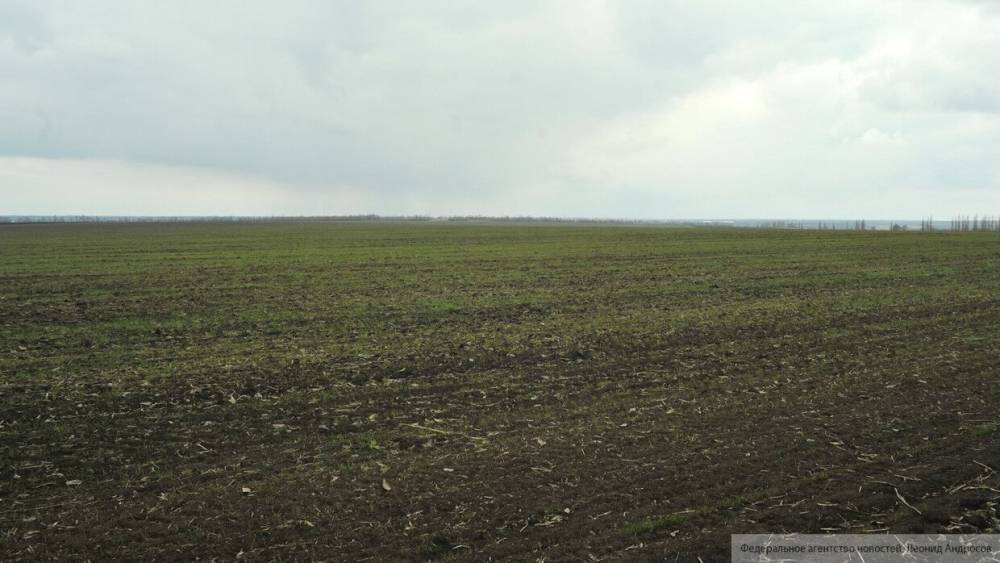 Погода и "коронакризис" нанесли тяжелый удар по сельскому хозяйству Украины