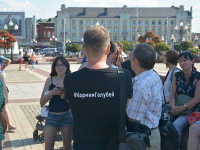 В Калининграде суд передумал закрывать дело против активистов кормивших голубей
