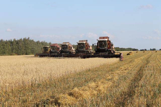 В Хабаровском крае 2020 год выдался более урожайным