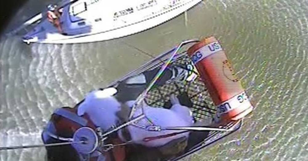 В США береговая охрана освободила с судна, севшего на мель, трех человек и двух четвероногих