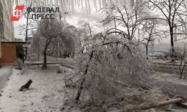 Эксперт назвал главную причину коллапса в Приморье. «Дело не только в силе циклона»