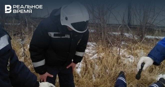 В Татарстане спасатели вытащили из погреба пакистанского козла