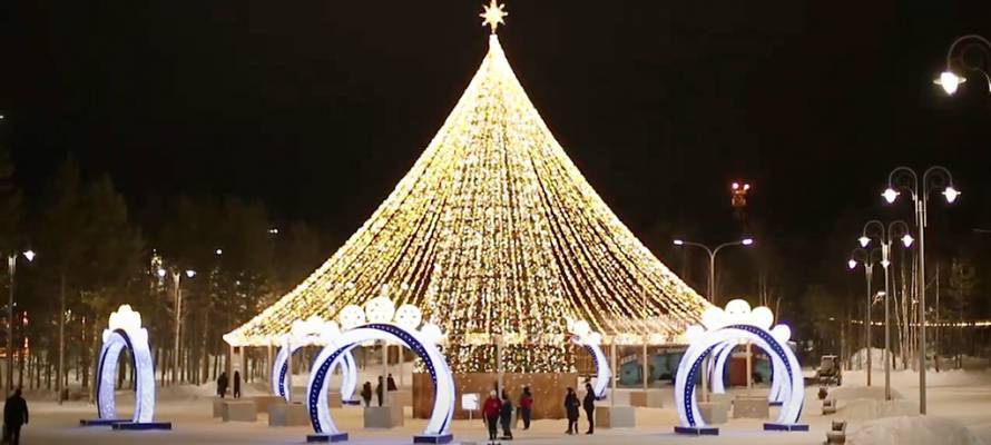 Новогоднюю ёлку с шатром начали устанавливать в Петрозаводске (ФОТО)