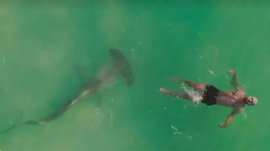 В США дрон снял кружащую вокруг пловца трехметровую акулу