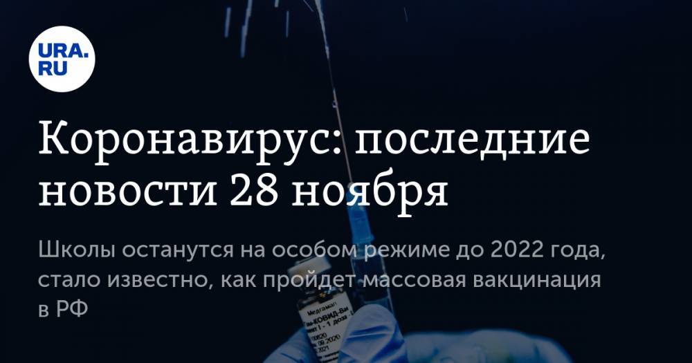 Коронавирус: последние новости 28 ноября. Школы останутся на особом режиме до 2022 года, стало известно, как пройдет массовая вакцинация в РФ