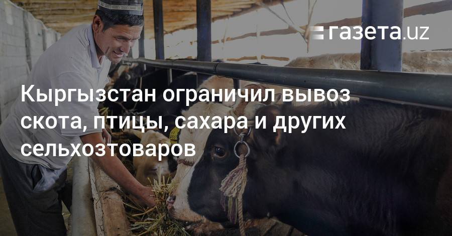 Кыргызстан ограничил вывоз скота, птицы, сахара и других сельхозтоваров
