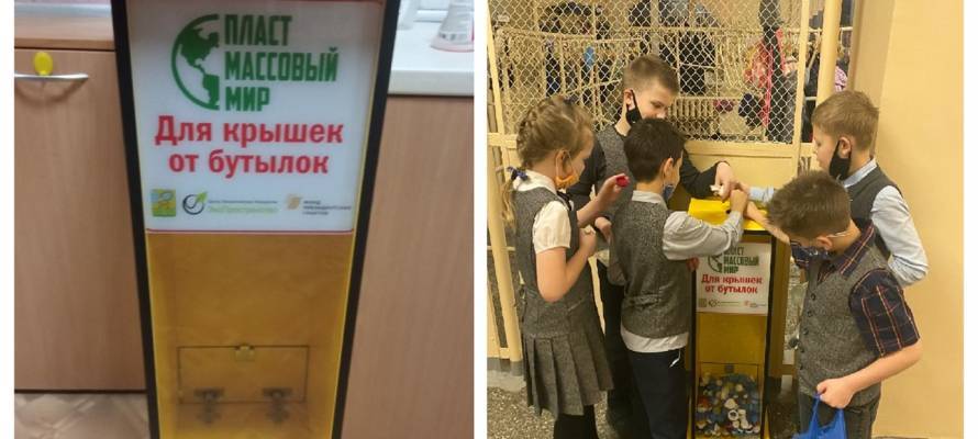 "Пластмассовый мир", который создают в Петрозаводске, охватил школы города
