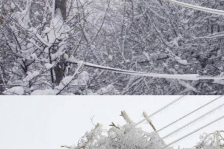 85 бригад энергетиков устраняют последствия циклона Таня в Псковской области