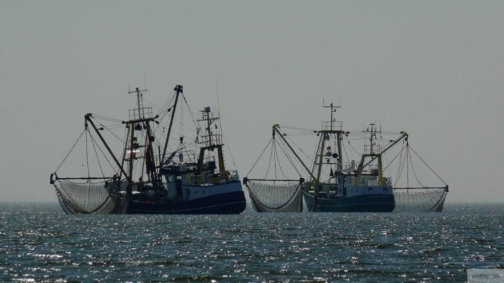Рыбак погиб при столкновении сухогруза и судна у берегов Японии