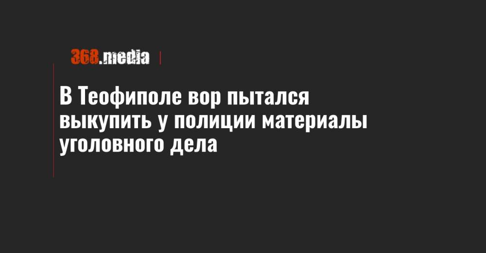 В Теофиполе вор пытался выкупить у полиции материалы уголовного дела