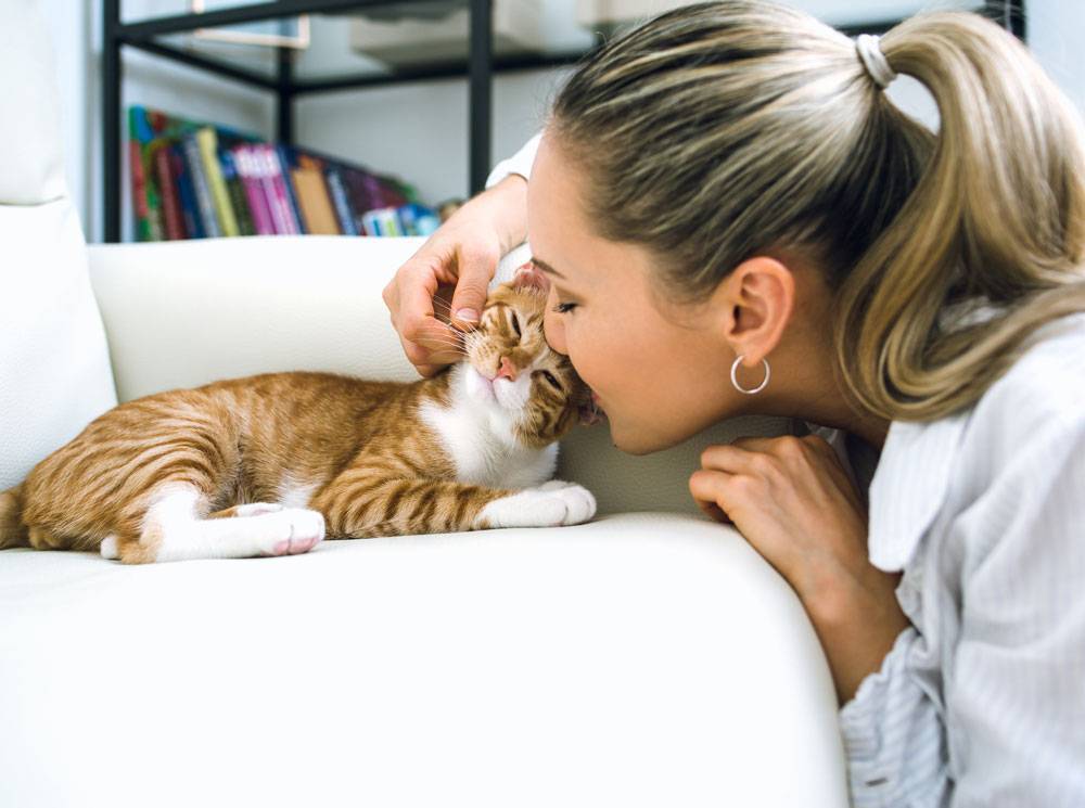 7 фактов о женщинах и кошках