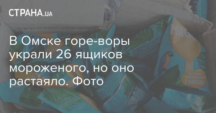 В Омске горе-воры украли 26 ящиков мороженого, но оно растаяло. Фото