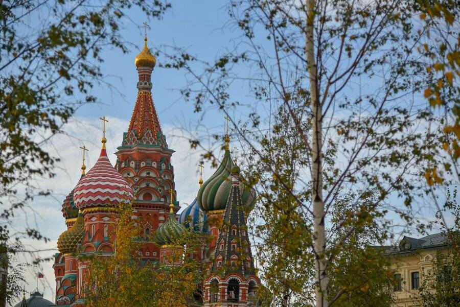 В Гидрометцентре спрогнозировали теплый ноябрь на большей части России