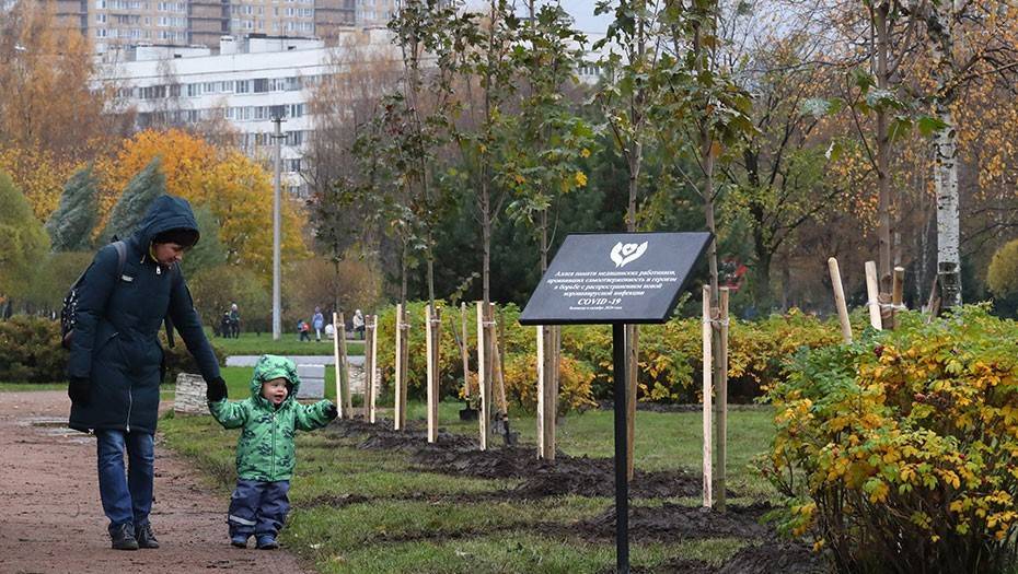 Масочные штрафы, дело Петрова в Москве и аллея памяти врачей: Петербург 27 октября