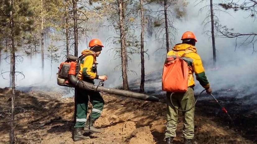 Лесопожарные службы потушили за сутки три природных пожара в России