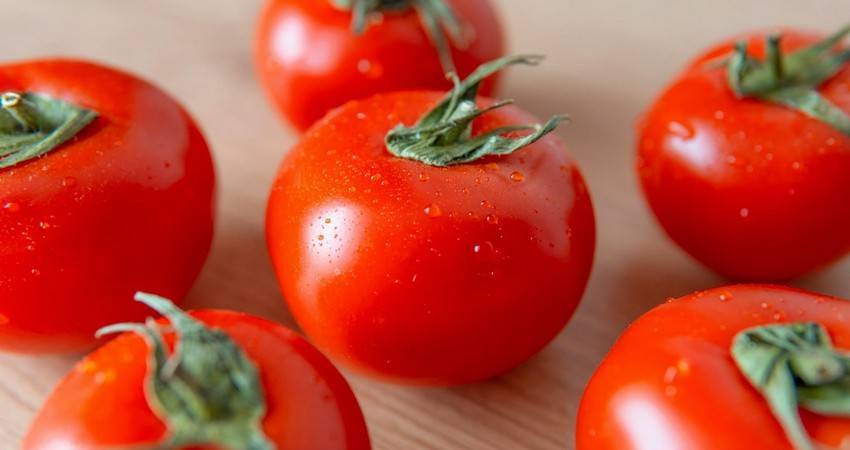 Беларусь попала в Топ-15 мировых экспортеров помидоров