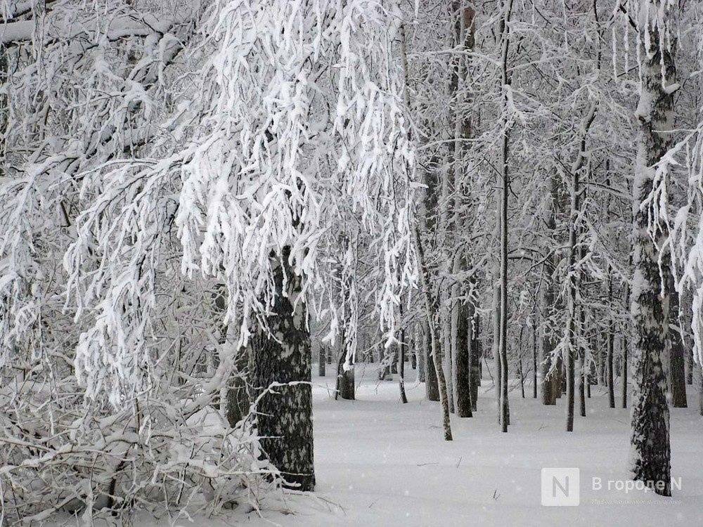 Морозы до -15°С придут в Нижний Новгород на этой неделе