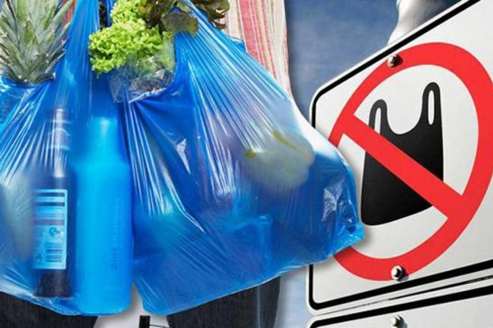 В Германии с 2022 года запретили использование пластиковых пакетов
