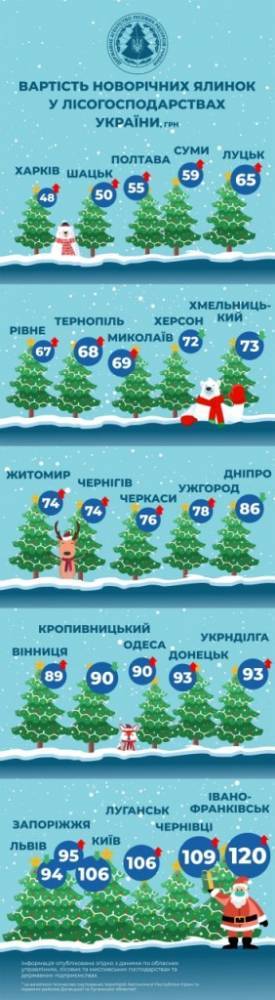 Названа стоимость новогодних елок для украинцев