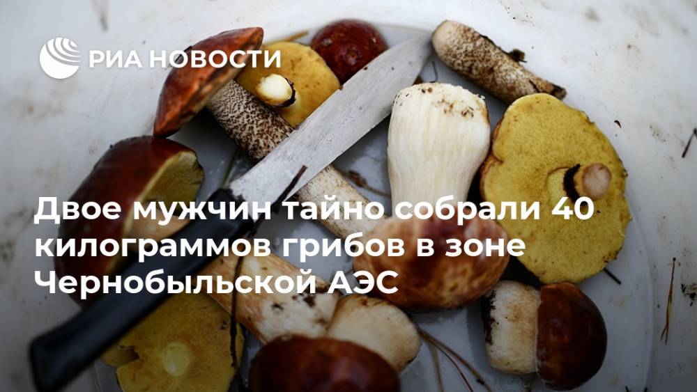 Двое мужчин тайно собрали 40 килограммов грибов в зоне Чернобыльской АЭС