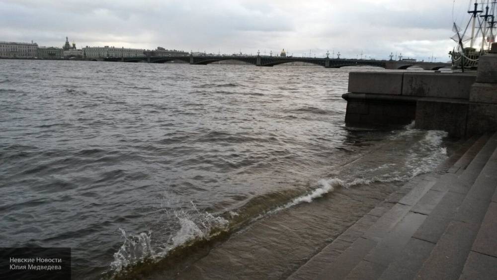 МЧС предупредило о штормовом ветре в Петербурге