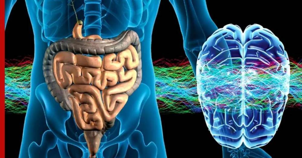 Названа «неожиданная» связь между работой мозга и кишечника