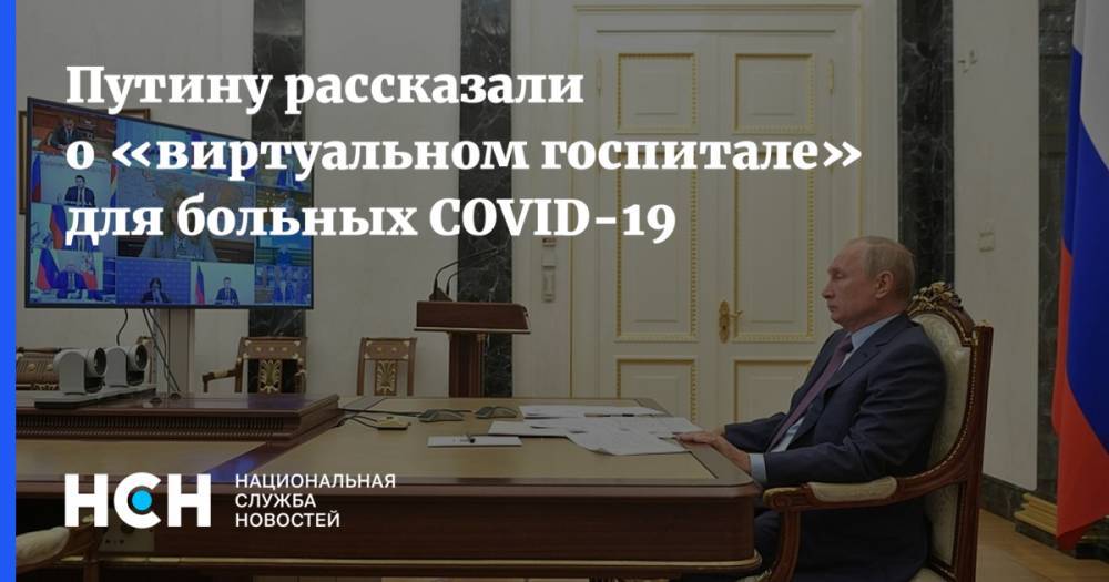 Путину рассказали о «виртуальном госпитале» для больных COVID-19