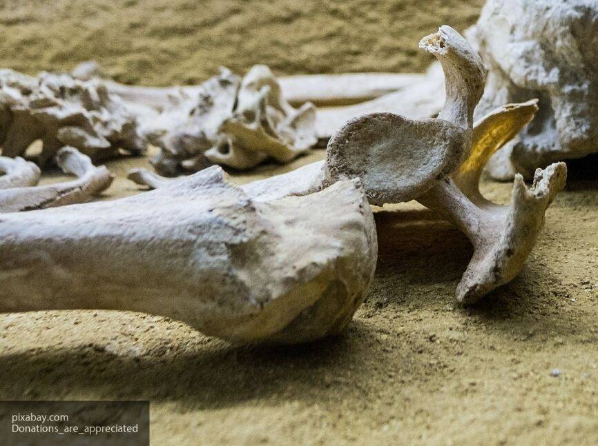В Андах нашли захоронение древней женщины-охотницы