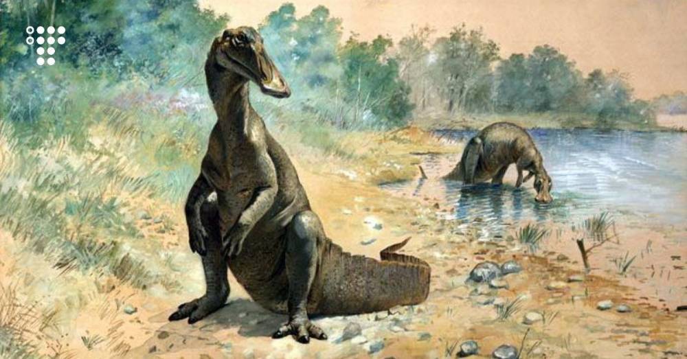 Ученые нашли первое свидетельство того, что динозавры могли путешествовать через океан. Это крайне редкое явление