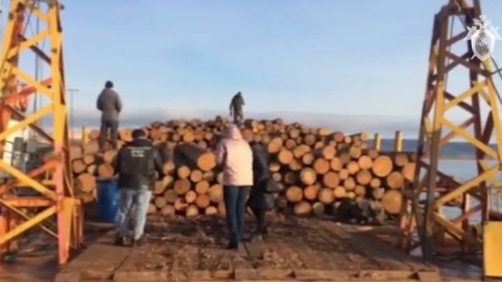 В Братске перехватили баржу с дровами, украденными у школы
