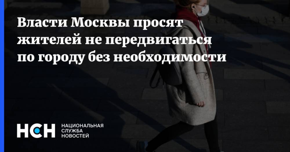Власти Москвы просят жителей не передвигаться по городу без необходимости