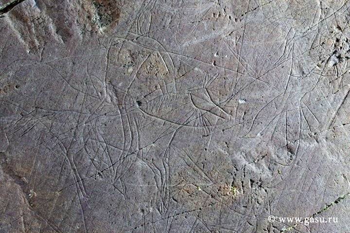Редчайшие наскальные изображения юрты раннего средневековья нашли на Алтае