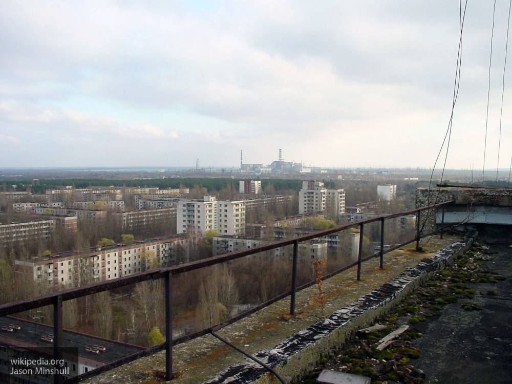 Ученые объяснили активное размножение животных в Чернобыле