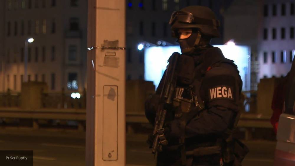 Глава управления контрразведки Вены ушел с должности после теракта