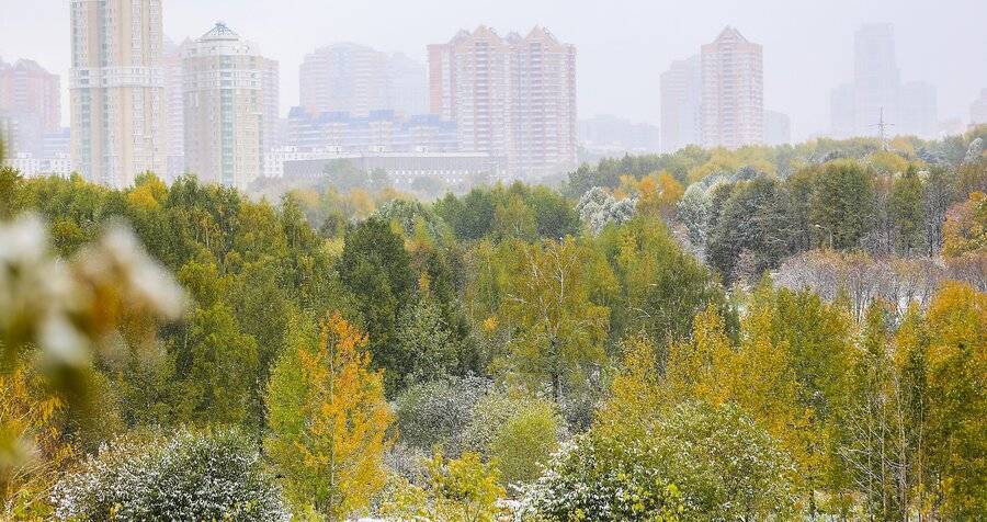 Первые заморозки ожидаются в понедельник в Москве