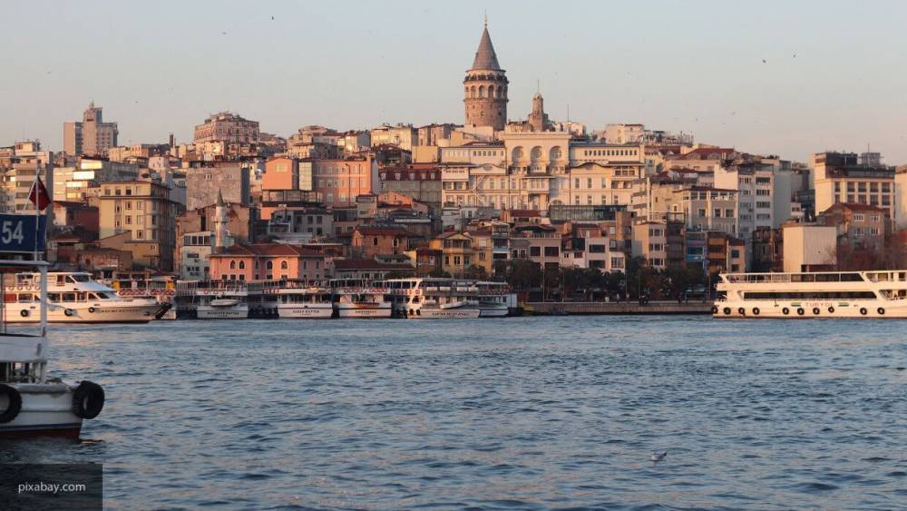 Умерла знаменитая 16-летняя пушистая хранительница мечети в Стамбуле