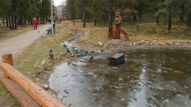 Полиция Сосногорска ищет свидетелей вандализма в семейном парке
