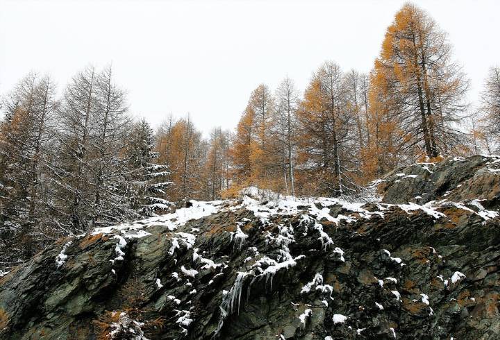 В понедельник в Ленобласти пройдет дождь с мокрым снегом
