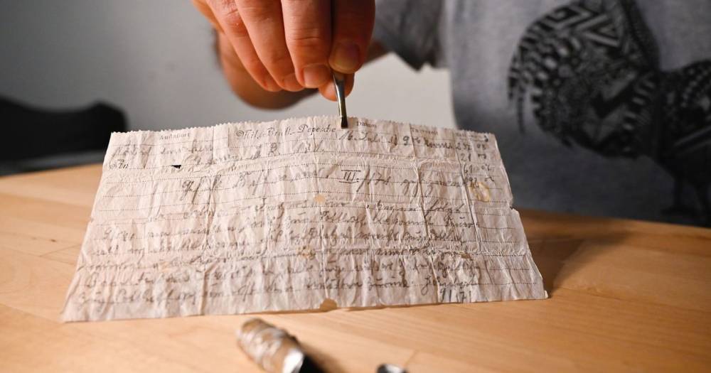 Найдено письмо, отправленное голубиной почтой 100 лет назад