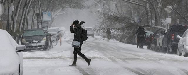 Жителей Новосибирской области ждет мокрый снег и штормовой ветер
