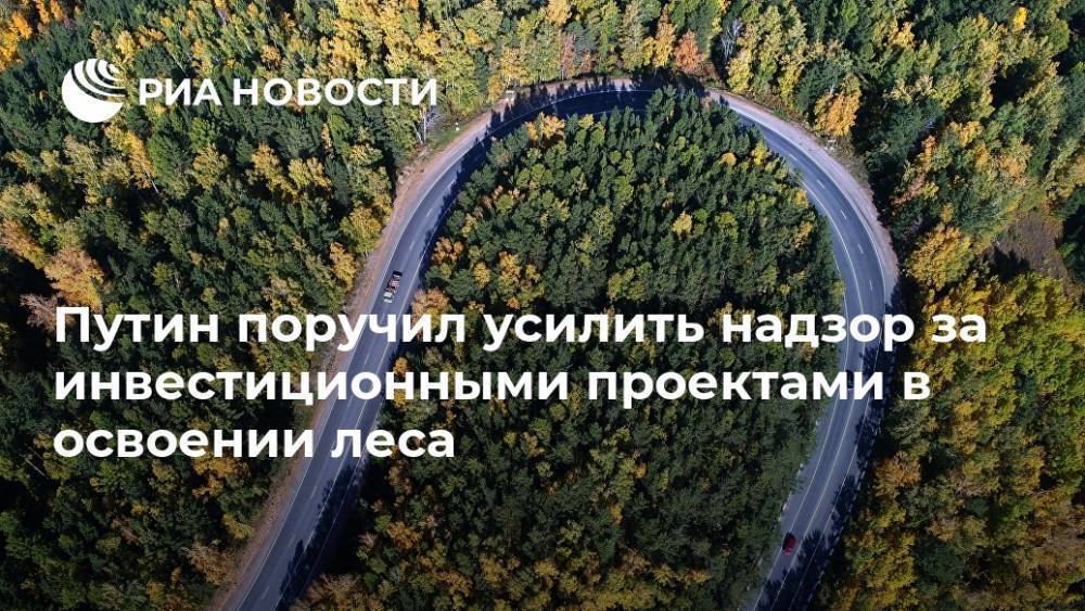 Путин поручил усилить надзор за инвестиционными проектами в освоении леса