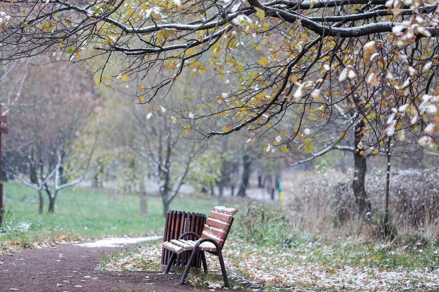 Заморозки текущей осени в Москве стали самыми поздними за всю историю наблюдений