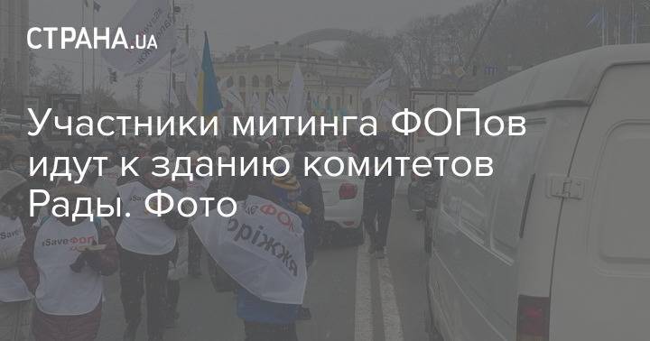 Участники митинга ФОПов идут к зданию комитетов Рады. Фото
