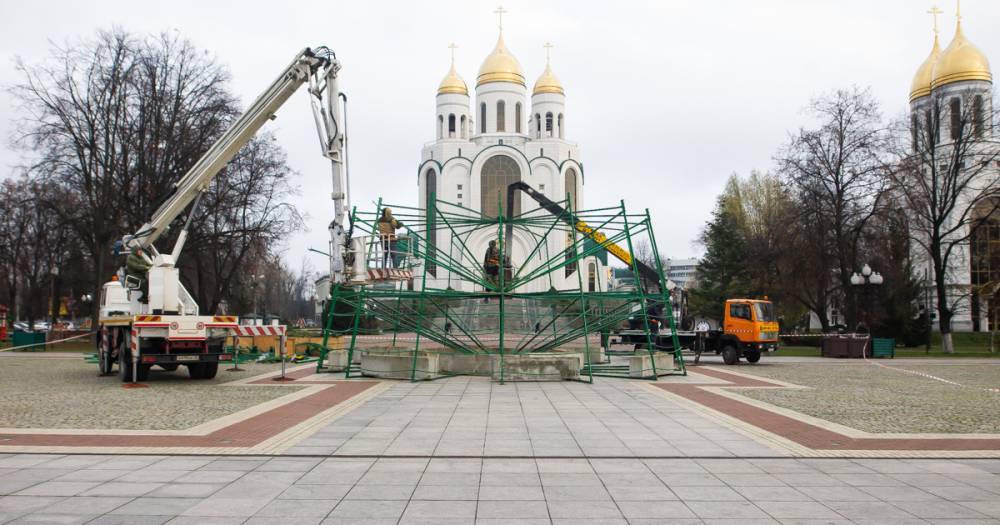 В Калининграде начали устанавливать главную новогоднюю ёлку (фото)