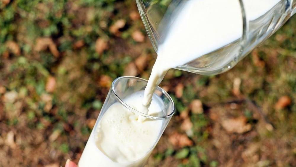 В бюджетных учреждениях Тверской области нашли некачественные молочные продукты