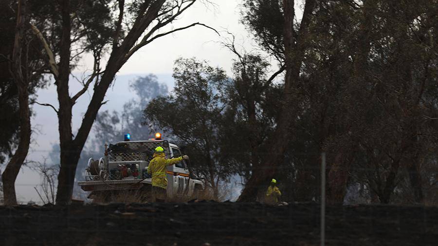 Лесные пожары уничтожили половину острова в Австралии