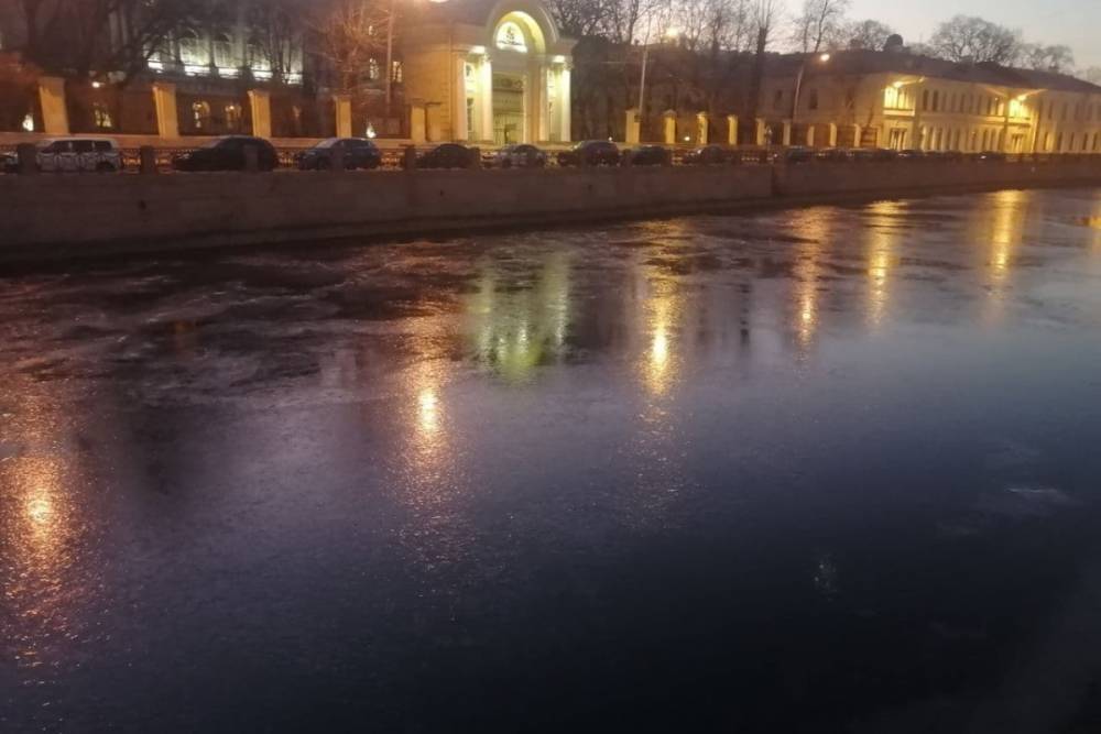 Реки Петербурга сковал первый лед