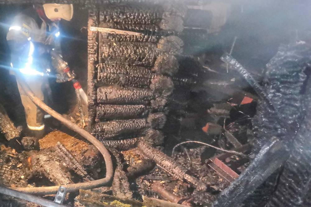 В Смоленском районе в пожаре погибли 170 кур