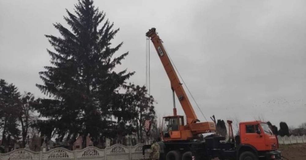 В Дубно главную новогоднюю елку привезли с кладбища (ВИДЕО)